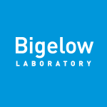 Personalized Cards & eCards supporting Bigelow Laboratory for Ocean Sciences