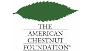 The American Chestnut Foundation Logo