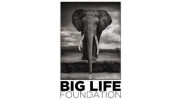 Big Life Foundation USA Logo