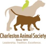 Personalized Cards & eCards supporting Charleston Animal Society