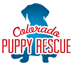 Personalized Cards & eCards supporting Colorado Puppy Rescue