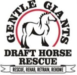 Personalized Cards & eCards supporting Gentle Giants Draft Horse Rescue
