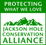 Personalized Cards & eCards supporting Jackson Hole Conservation Alliance