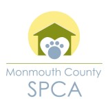 Personalized Cards & eCards supporting Monmouth County SPCA