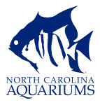 Personalized Cards & eCards supporting North Carolina Aquarium Society