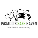 Personalized Cards & eCards supporting Pasados Safe Haven