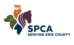 Personalized Cards & eCards supporting SPCA Serving Erie County