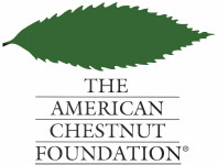 Personalized Cards & eCards supporting The American Chestnut Foundation