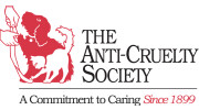 The AntiCruelty Society Logo