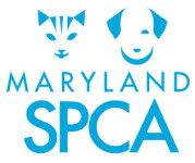 Personalized Cards & eCards supporting The Maryland SPCA